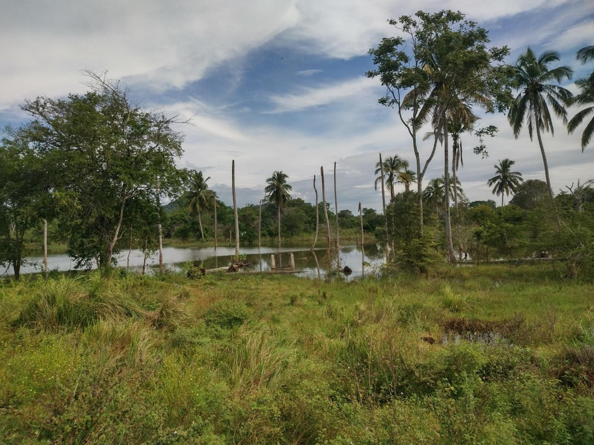 Nature Kingdom Botanical Garden Villa Hambegamuwa Bagian luar foto