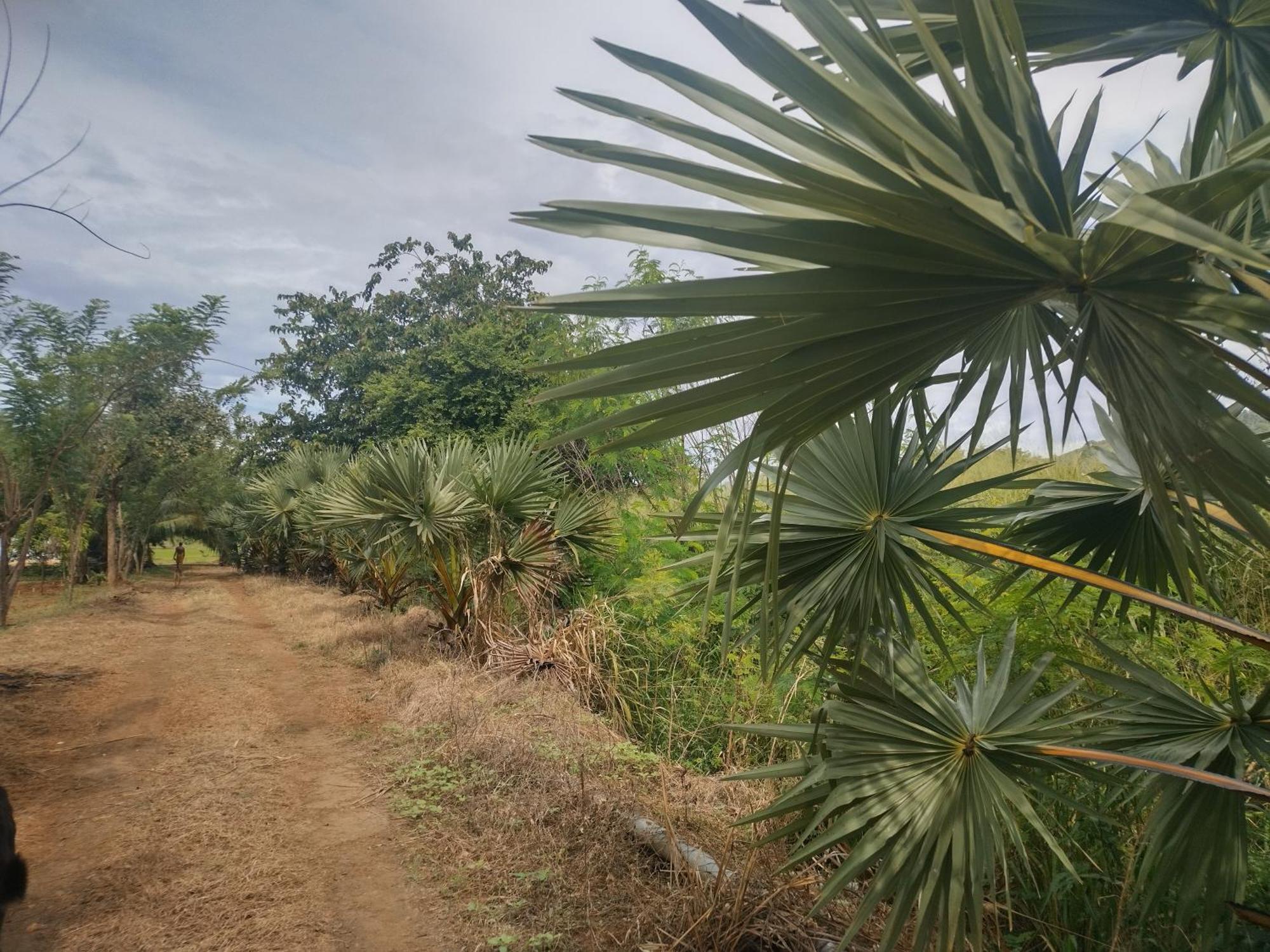 Nature Kingdom Botanical Garden Villa Hambegamuwa Bagian luar foto