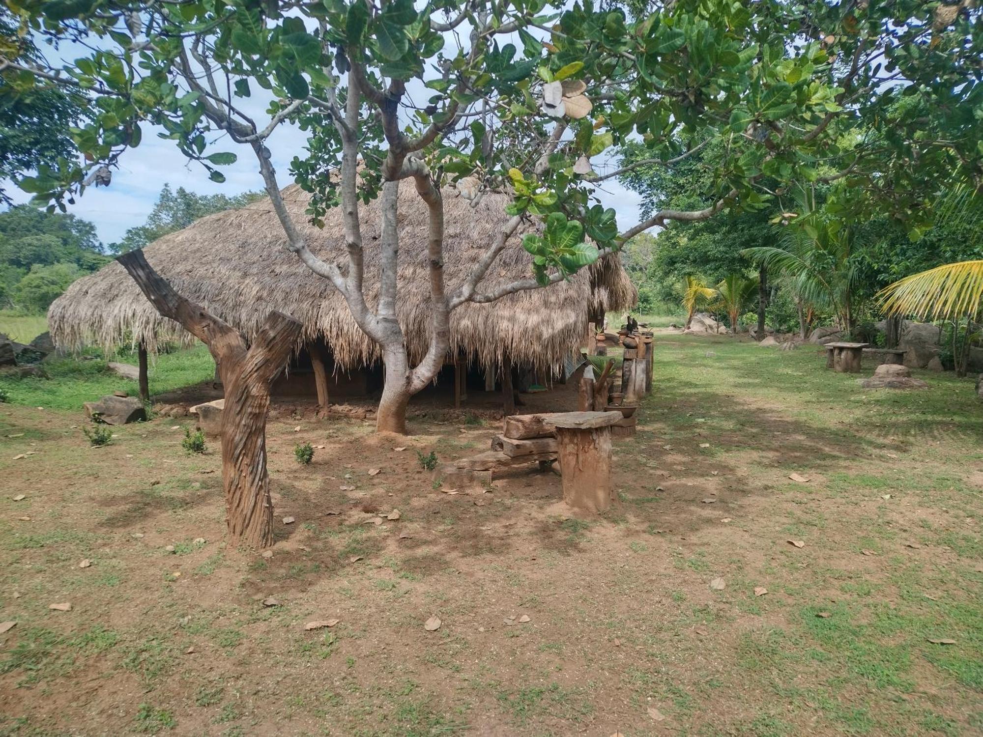 Nature Kingdom Botanical Garden Villa Hambegamuwa Bagian luar foto