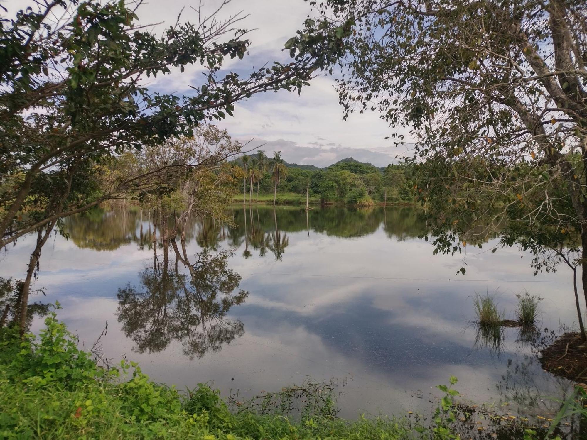 Nature Kingdom Botanical Garden Villa Hambegamuwa Bagian luar foto