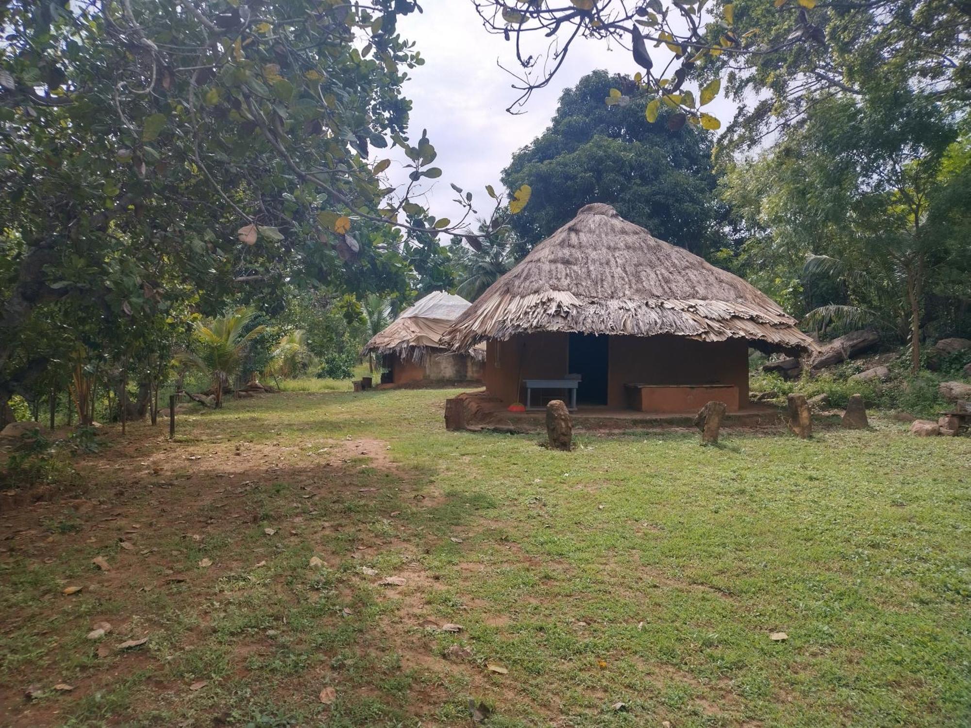 Nature Kingdom Botanical Garden Villa Hambegamuwa Bagian luar foto