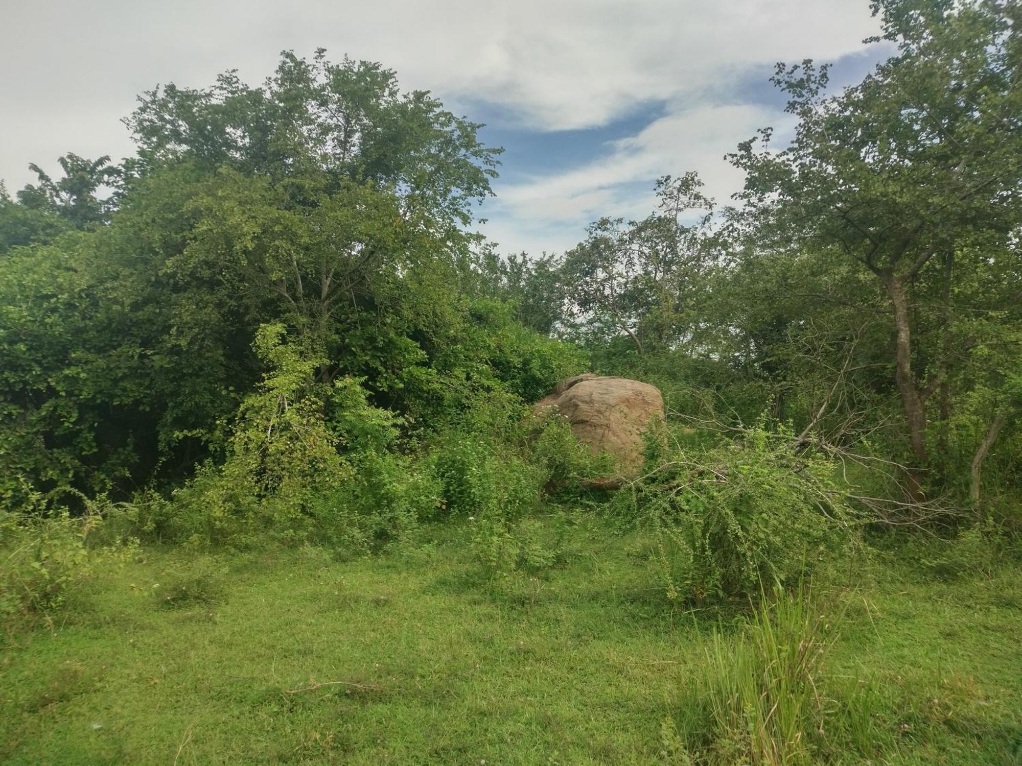 Nature Kingdom Botanical Garden Villa Hambegamuwa Bagian luar foto