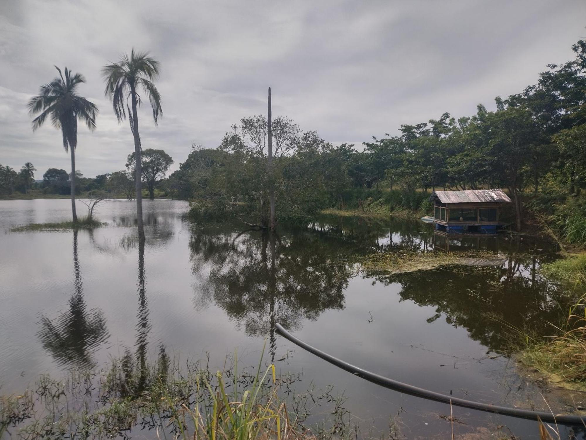 Nature Kingdom Botanical Garden Villa Hambegamuwa Bagian luar foto