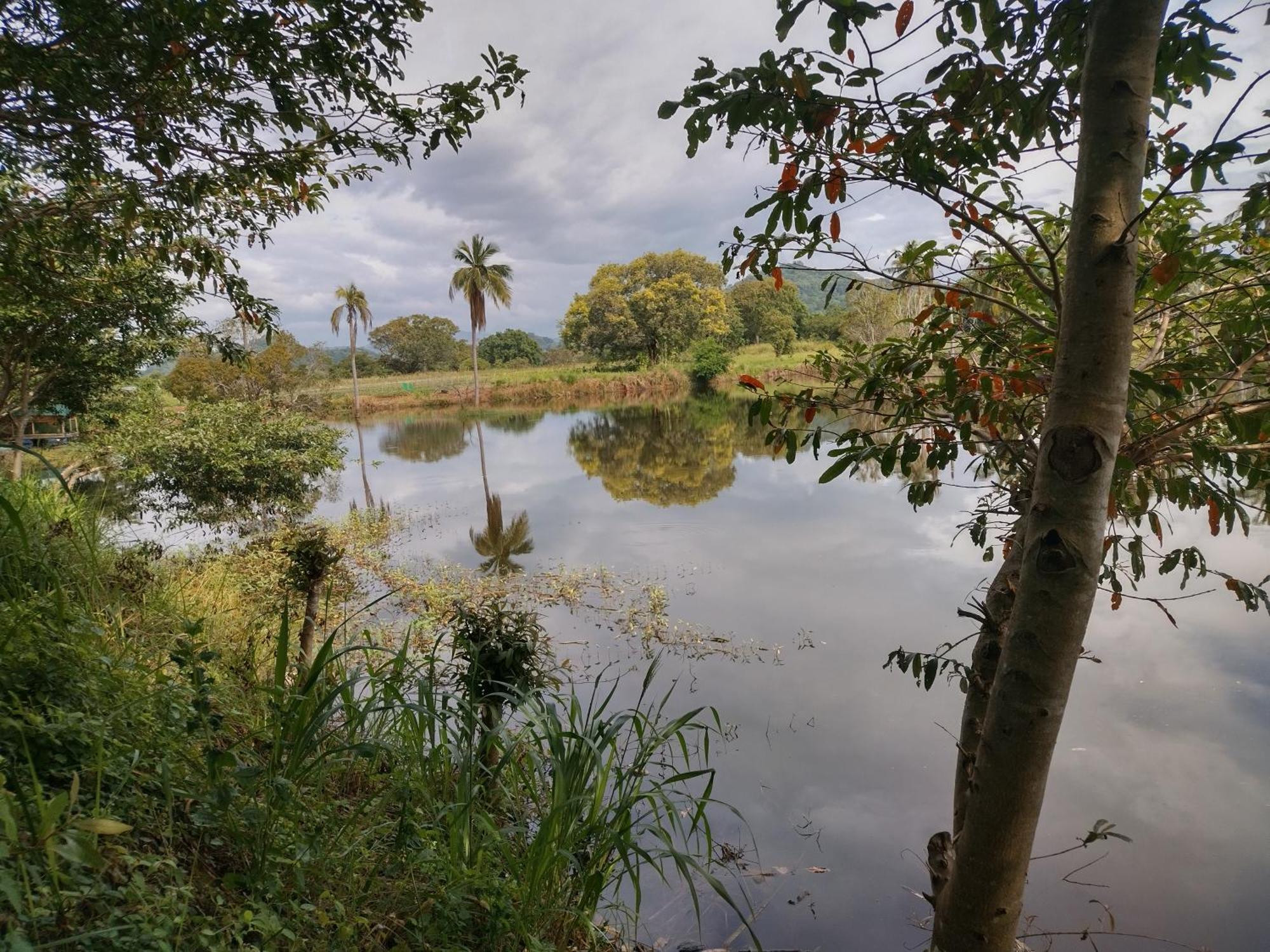 Nature Kingdom Botanical Garden Villa Hambegamuwa Bagian luar foto